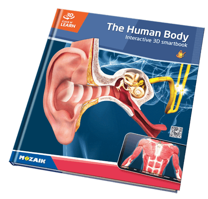 20个标题系列,并带有800个的3D场景