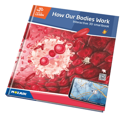 20个标题系列,并带有800个的3D场景