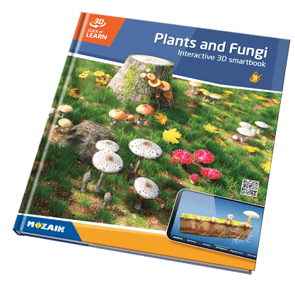 20个标题系列,并带有800个的3D场景