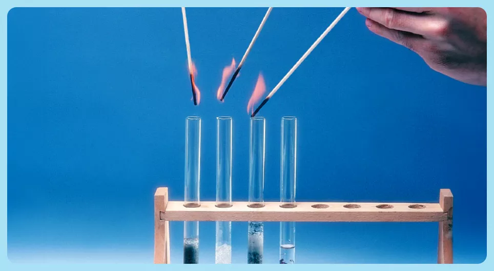 Some Important Sulphide Compounds
