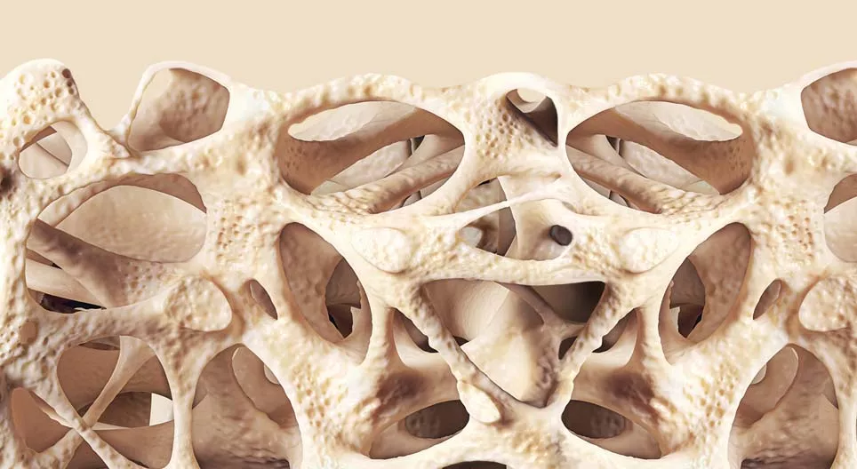 Connective tissues