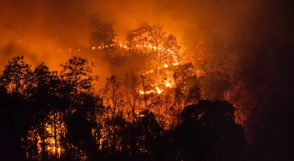 Global warming vs. climate change