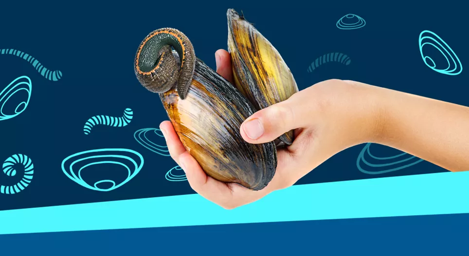 At the bottom of lakes