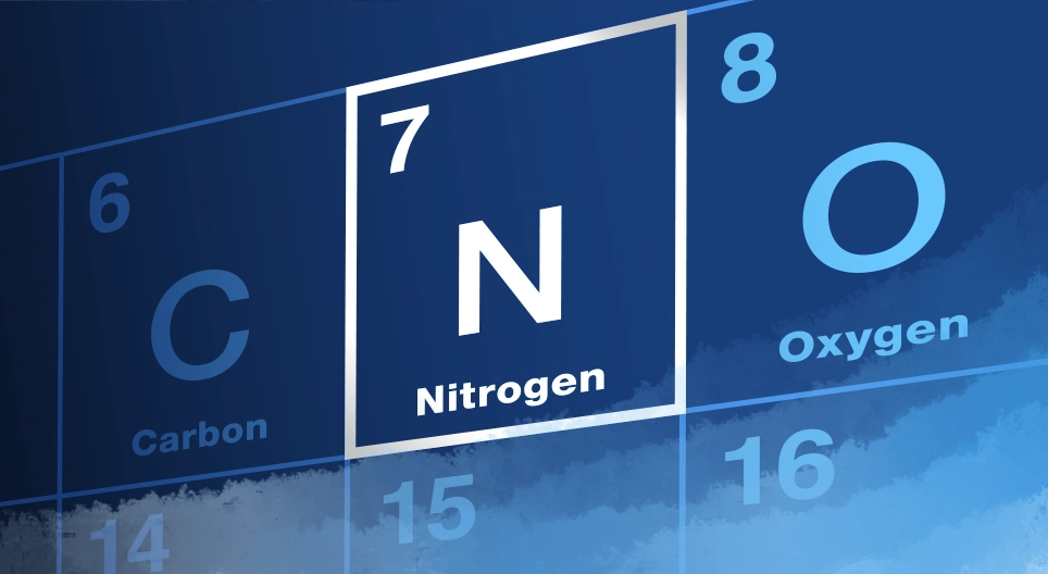 It surrounds us but we cannot see it – Nitrogen