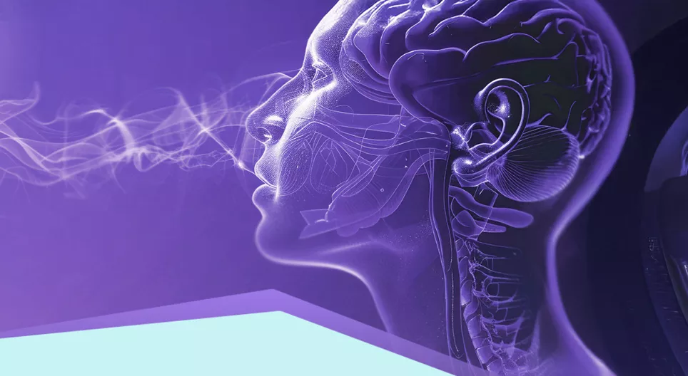 Sensors and receptors