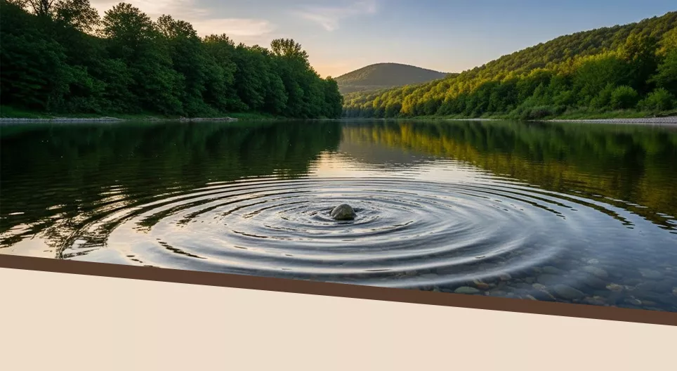 The Ripples of Our Decisions – How Do We Affect Others?