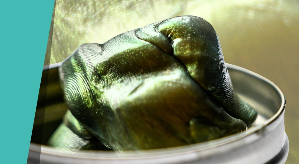 Silly putty or smart putty?