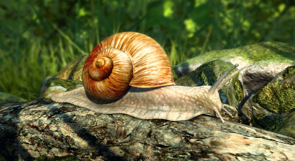 Roman snail