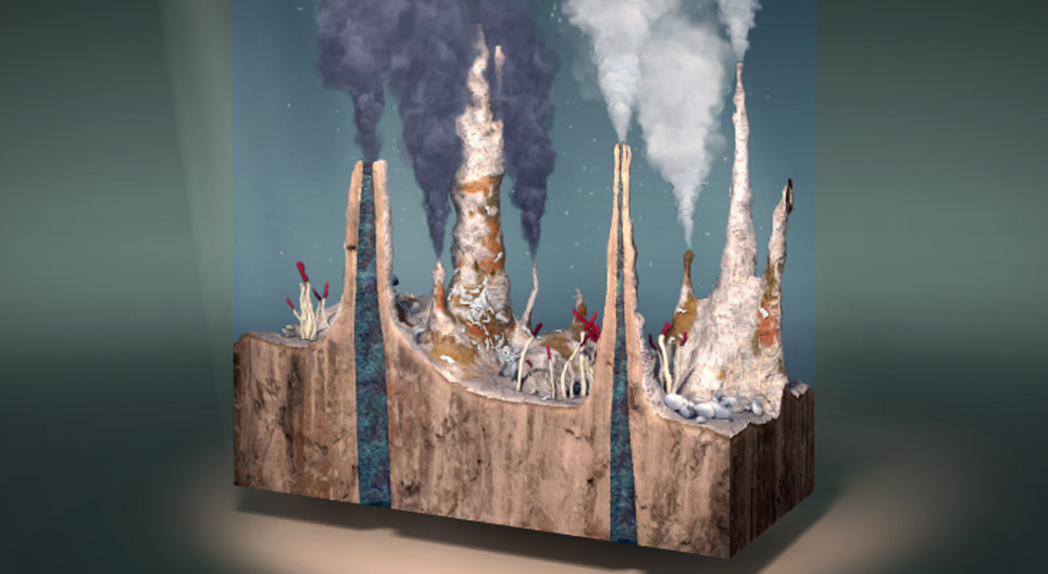 Deep-sea hydrothermal vents