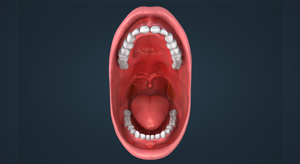 Human teeth