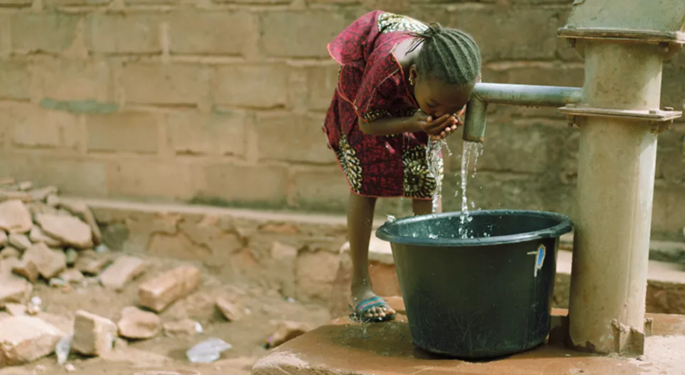 水に潜む殺人者：コレラ