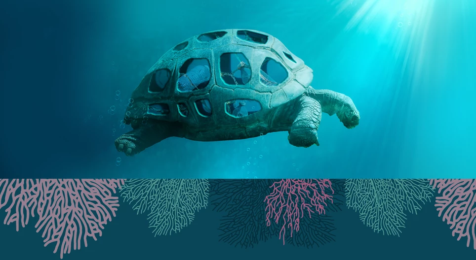 海を脅かすプロセス