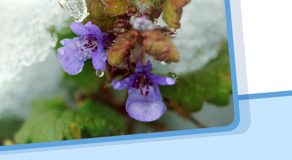 物質の状態、状態の変化