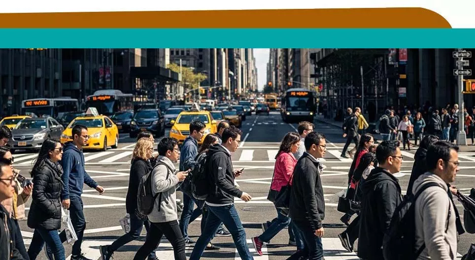 Home Area Vocabulary