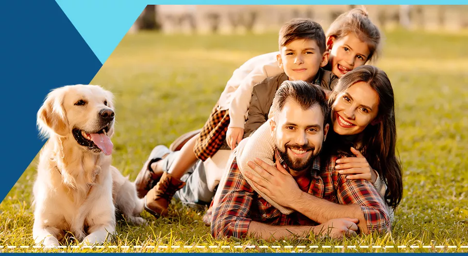 家族の一員たち（中級編）