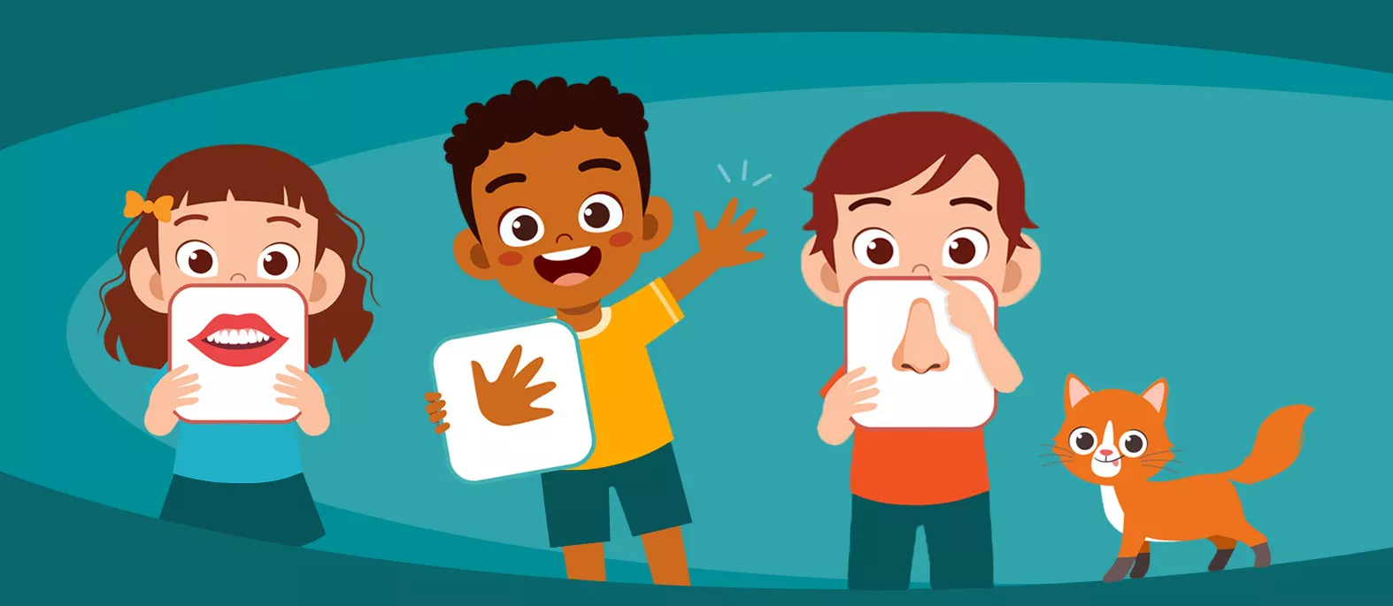 体の部位 – 国際版