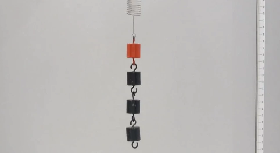 振動周期の質量依存性