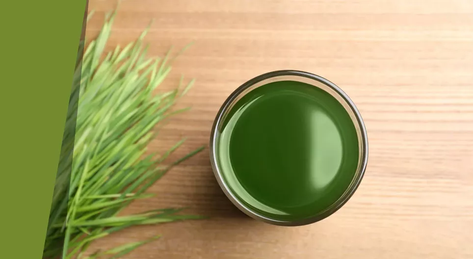 草スープの秘密