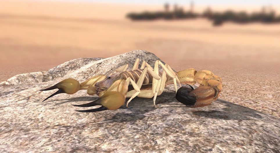 イエローファットテールスコーピオン