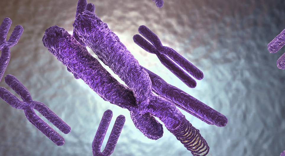 遺伝物質の構成