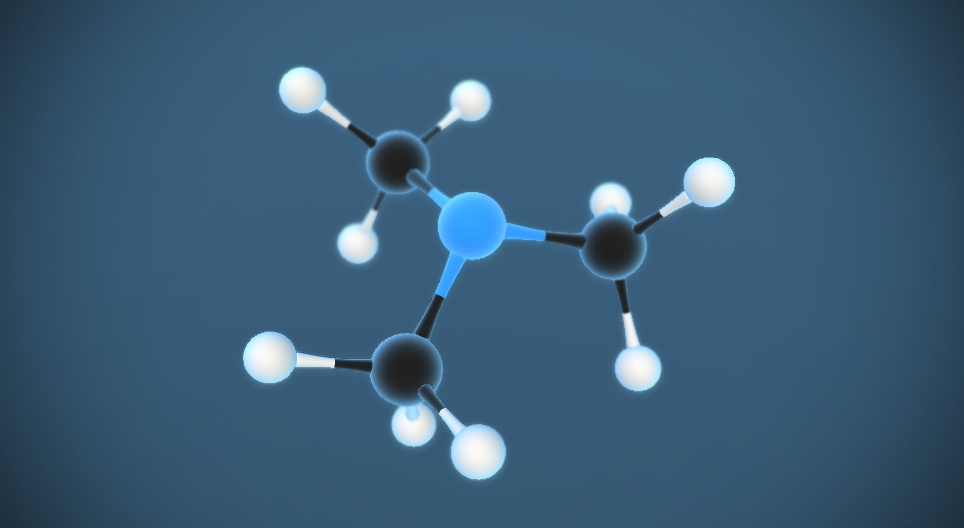 トリメチルアミン N(CH₃)₃