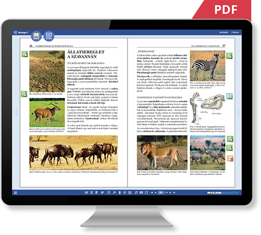 PDF 혹은 HTML
