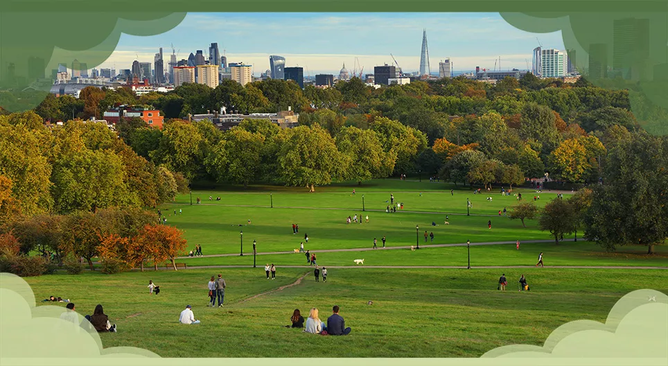 Who takes care of the environment?