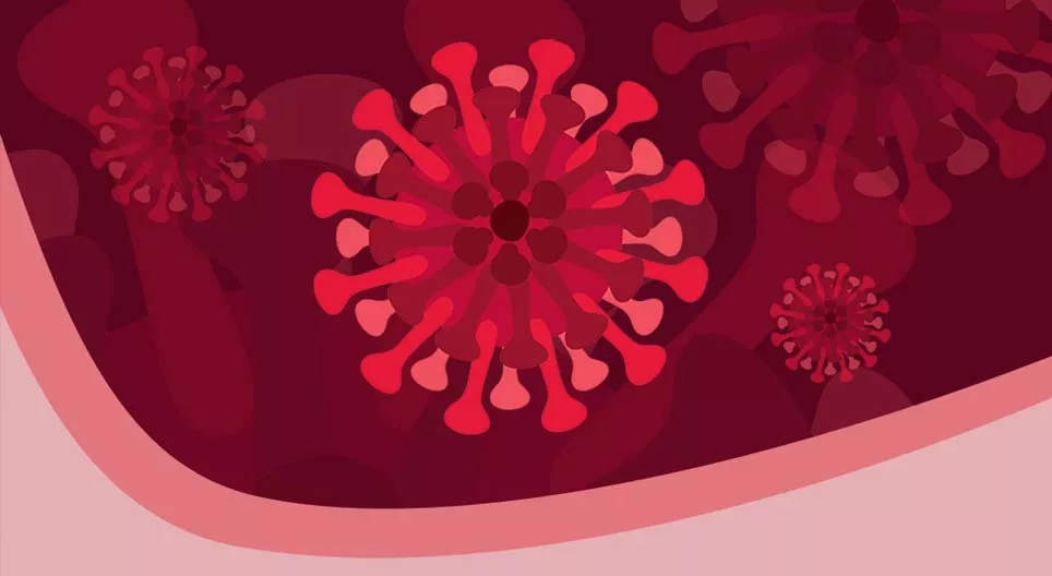 코로나바이러스 종류들과 COVID-19에 대해서 알면 좋은 것들을 살펴봅시다.