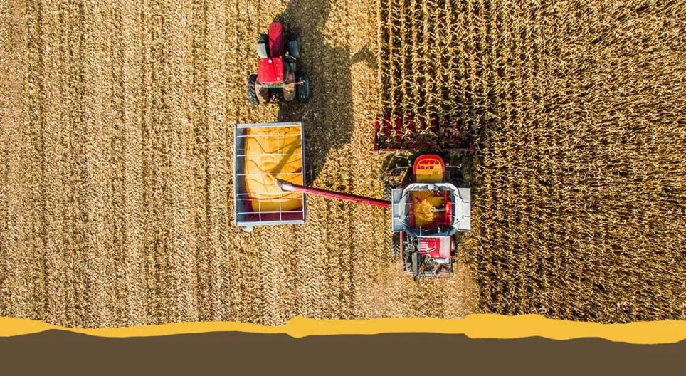 일반적인 농작물