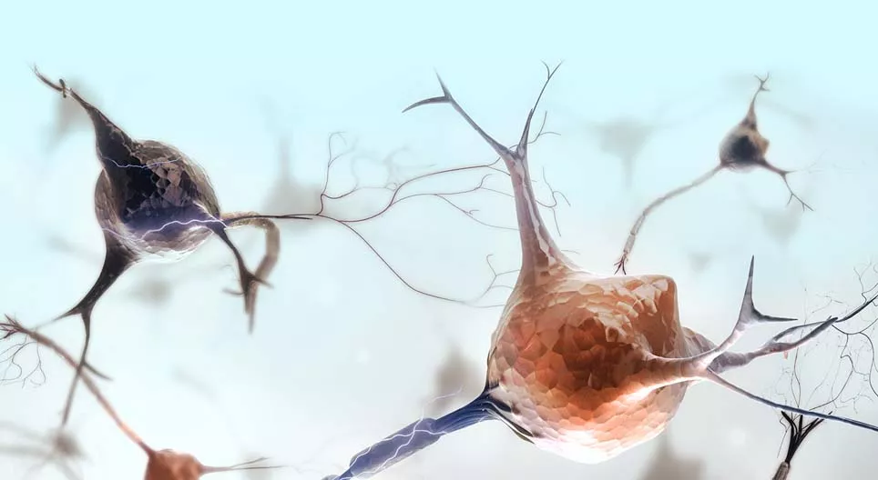 What are the characteristics of nervous tissue?