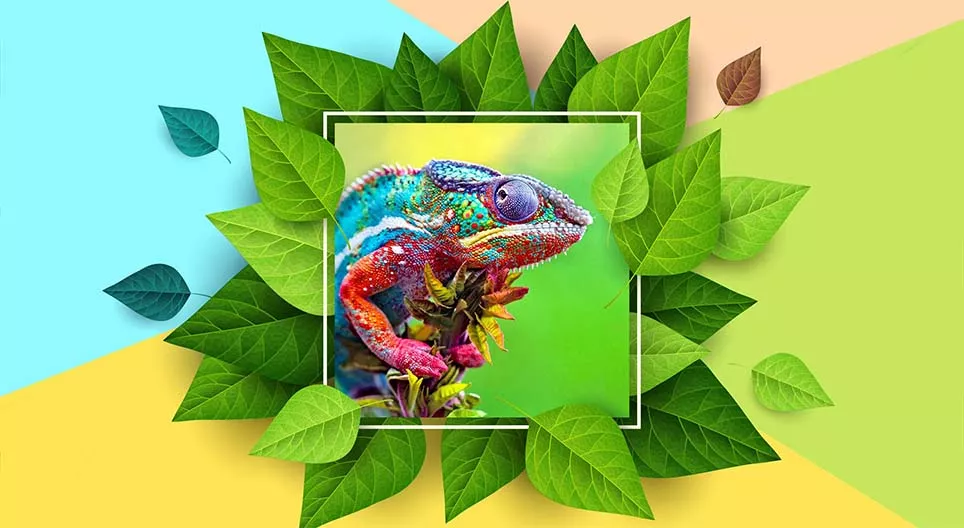 Colour changers in nature