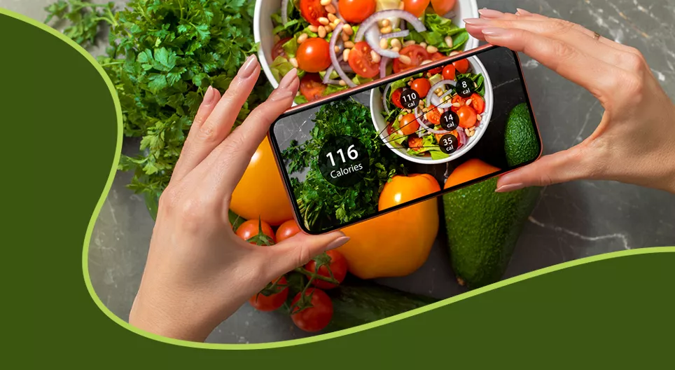 음식의 에너지함량