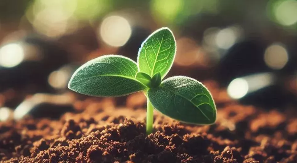 Sustainable agriculture