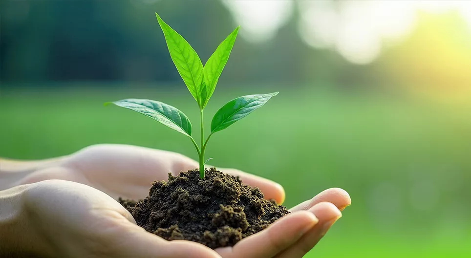 Where does life begin?