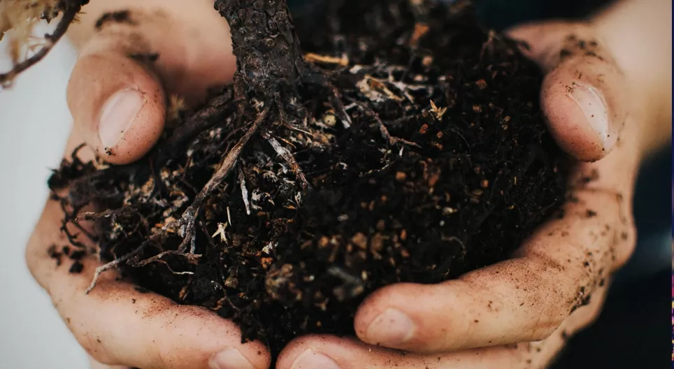 토양이 어떻게 형성됩니까?