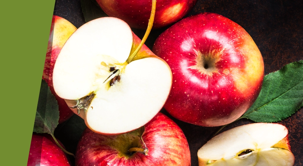 그늘에 앉아도 햇볕에 탄다