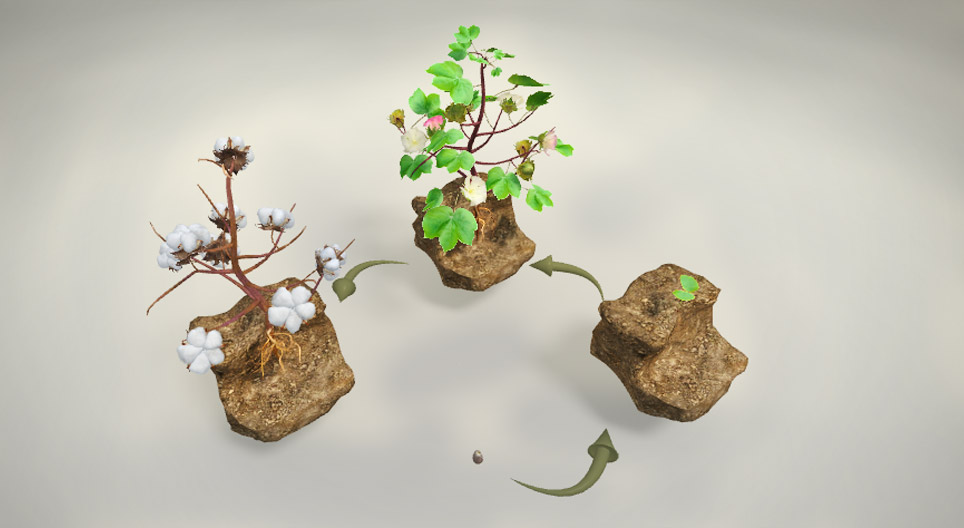 면직물은 무엇으로 만들어질까?