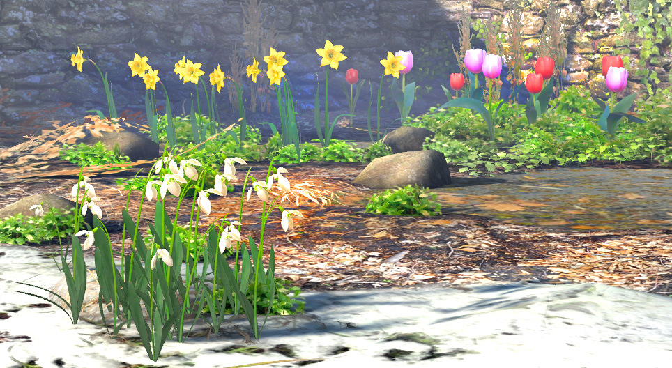 봄 때의 구근 식물