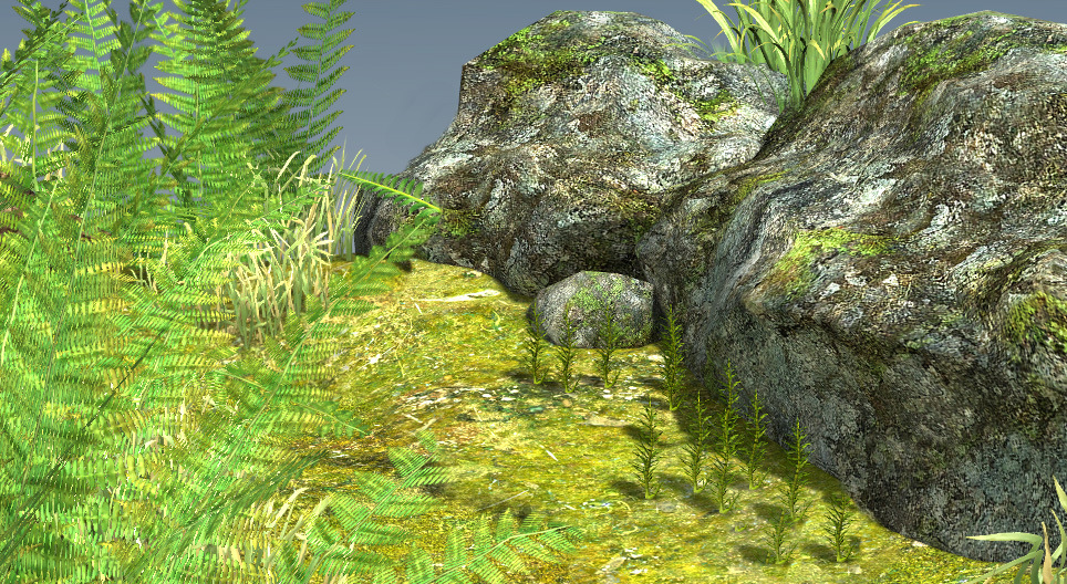 양치류와 선류의 생활환