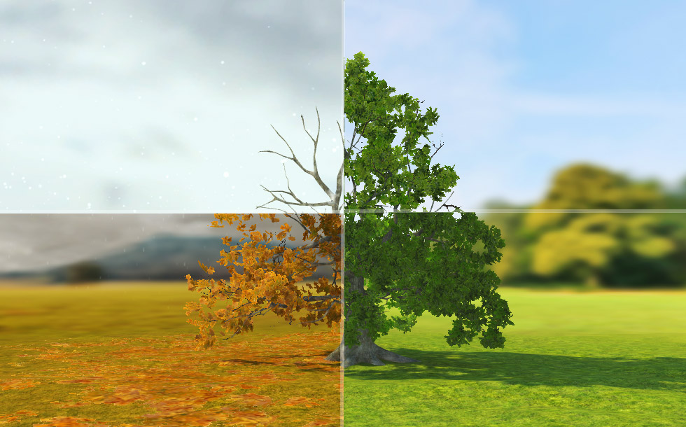 로부르참나무 (기본)