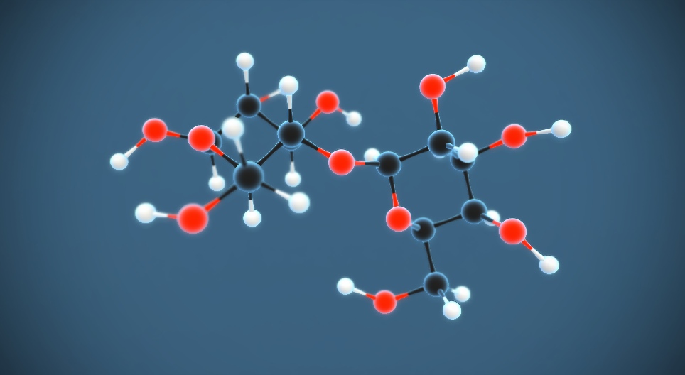 락토스 (C₁₂H₂₂O₁₁)