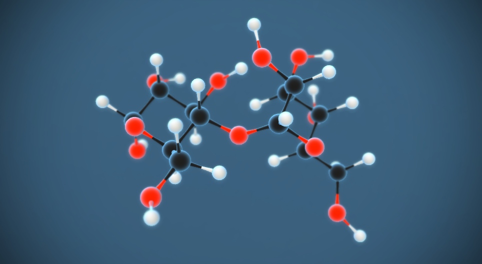 말토스 (엿당) (C₁₂H₂₂O₁₁)