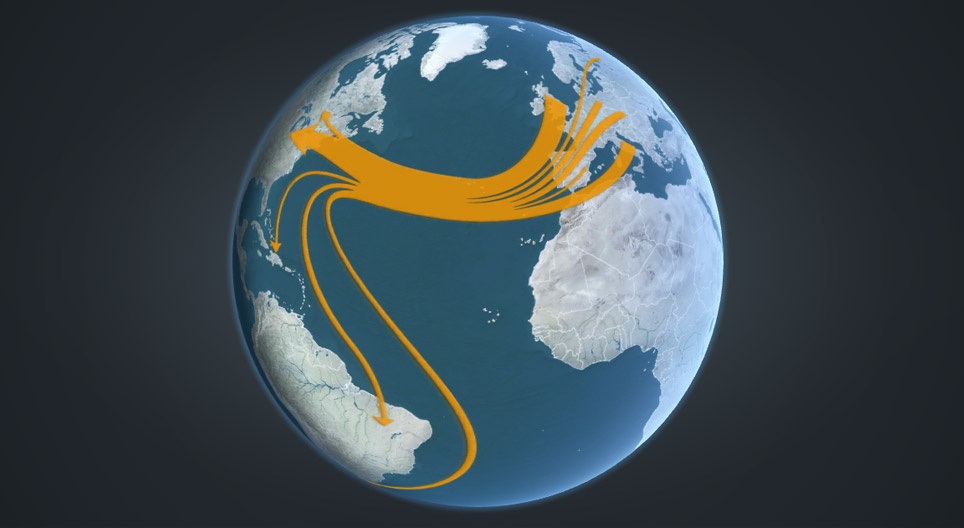 인류 이동의 역사