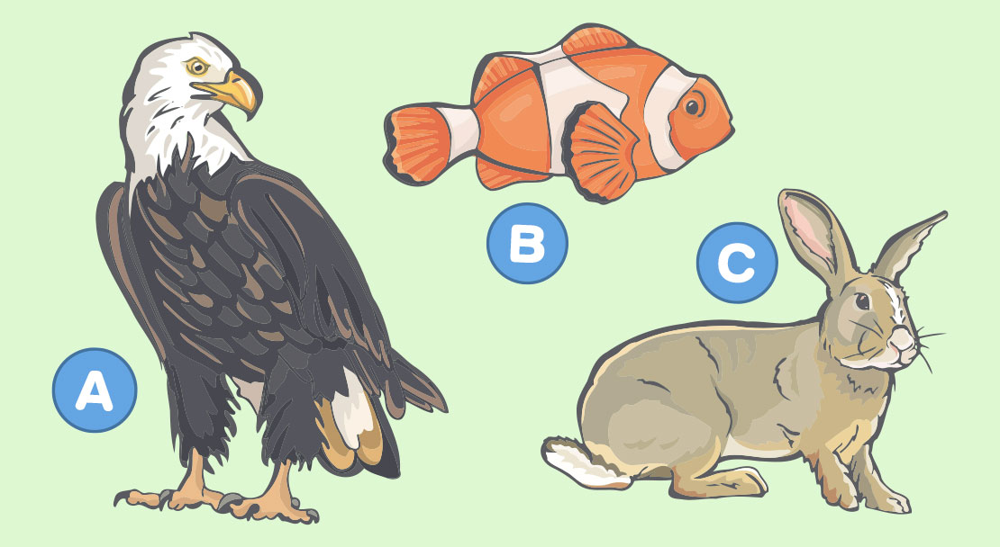 野生動物クイズ