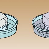 糖在温水里比在凉水里更容易溶解