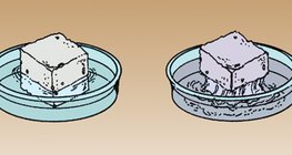 糖在温水里比在凉水里更容易溶解