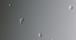 念珠菌的真菌（最常见的引起阴道感染的细菌）