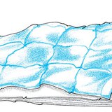 Addig nyújtózkodjál, ameddig a takaród ér