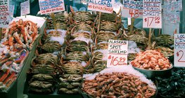 海鲜是重要的食物来源之一