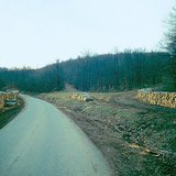 存放在路边的木材